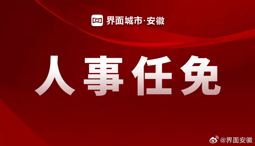 麦比村未来领导力量重塑，最新人事任命揭晓