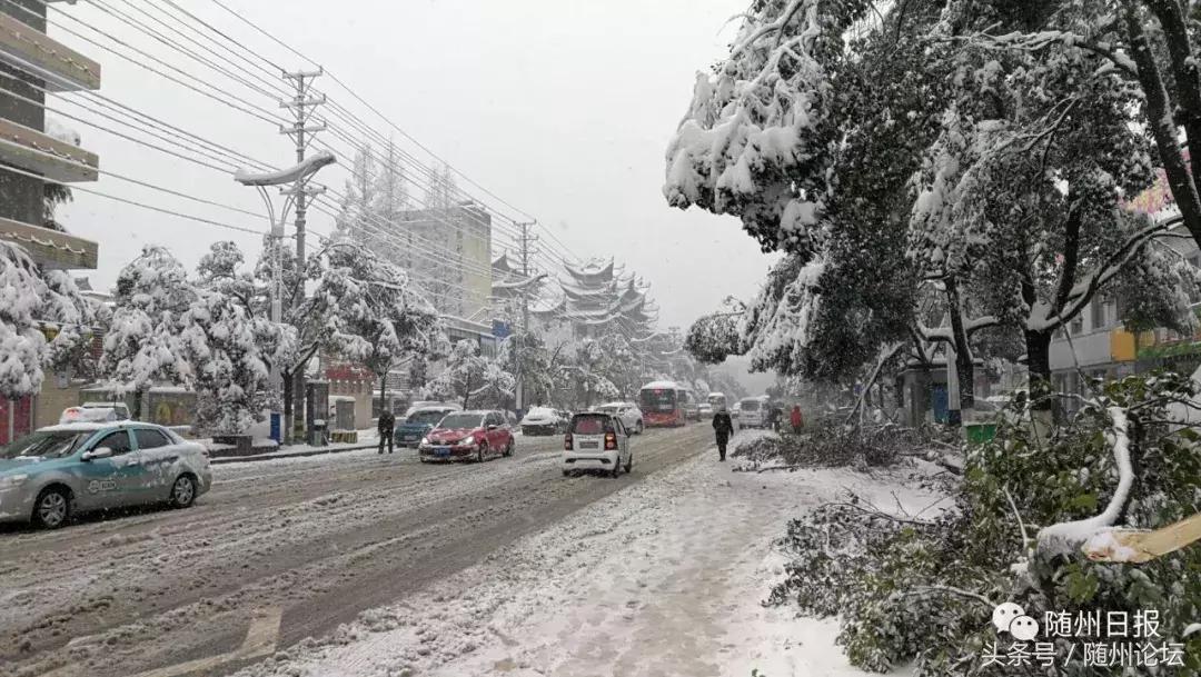 随州市气象局发布最新新闻报告