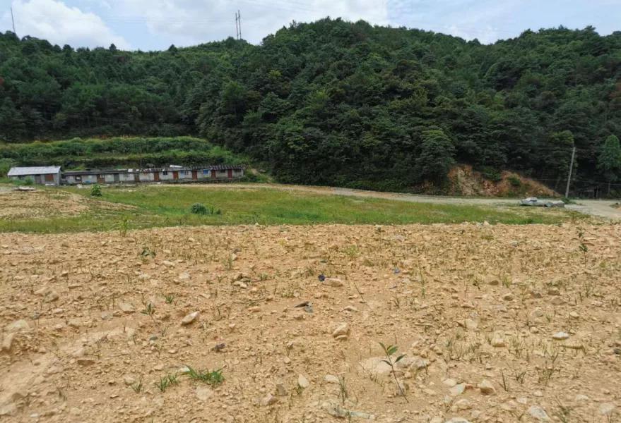 柘荣县住房和城乡建设局最新动态报道