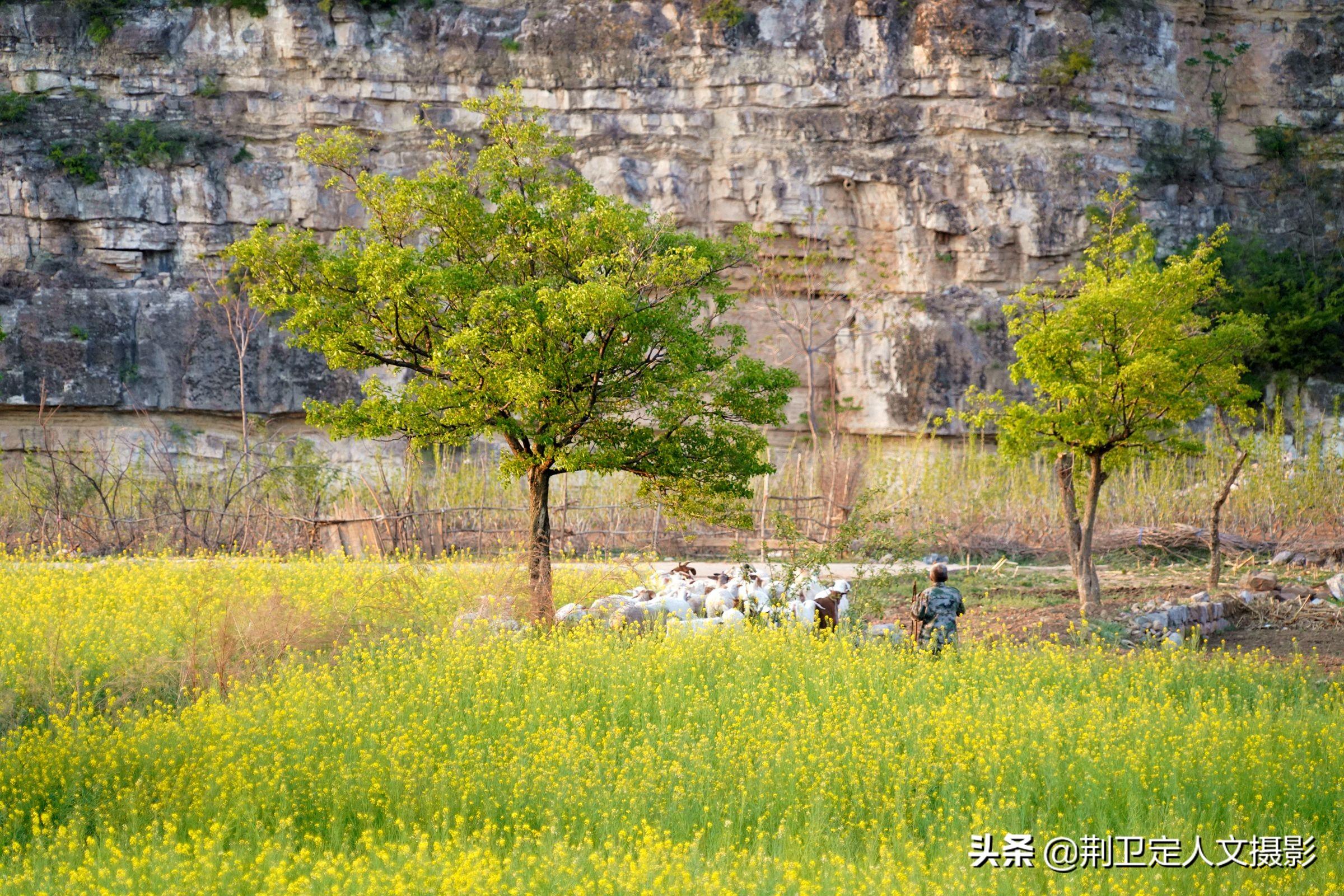 山西省晋城市沁水县土沃乡项目进展与未来前景展望