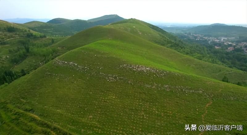 汶河街道新项目重塑城市面貌，驱动区域发展力推新篇章