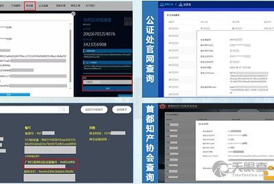 管家婆资料精准一句真言港彩资料,实效设计策略_watchOS66.962