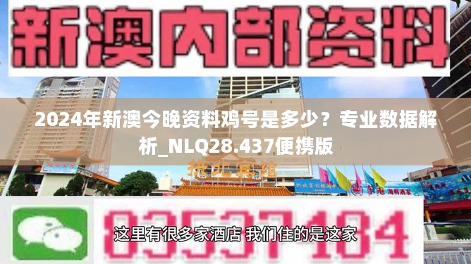 2024新澳今晚资料鸡号几号,数据设计支持计划_Nexus15.346