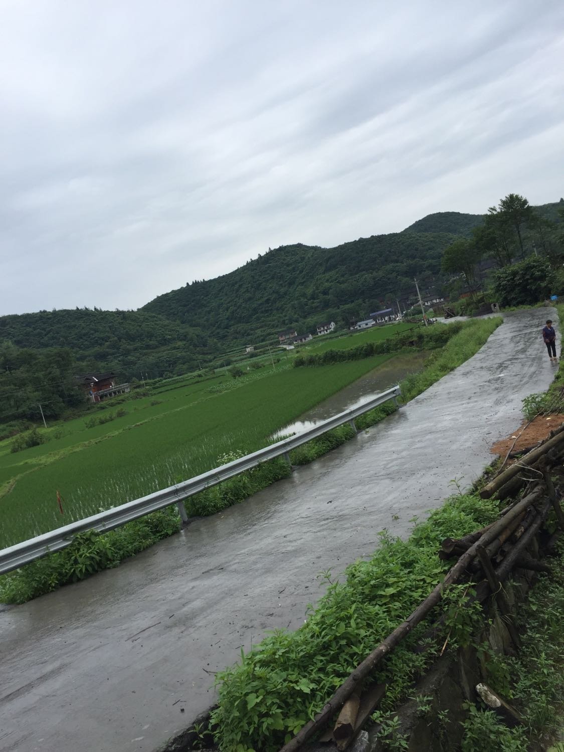 火石村委会天气预报更新通知