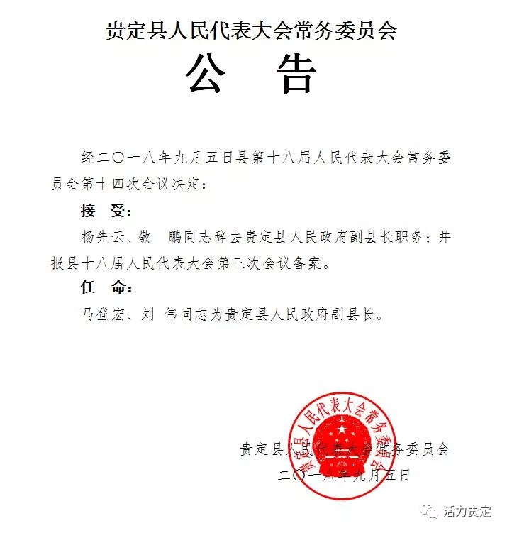 八宝镇最新人事任命动态及其深远影响分析