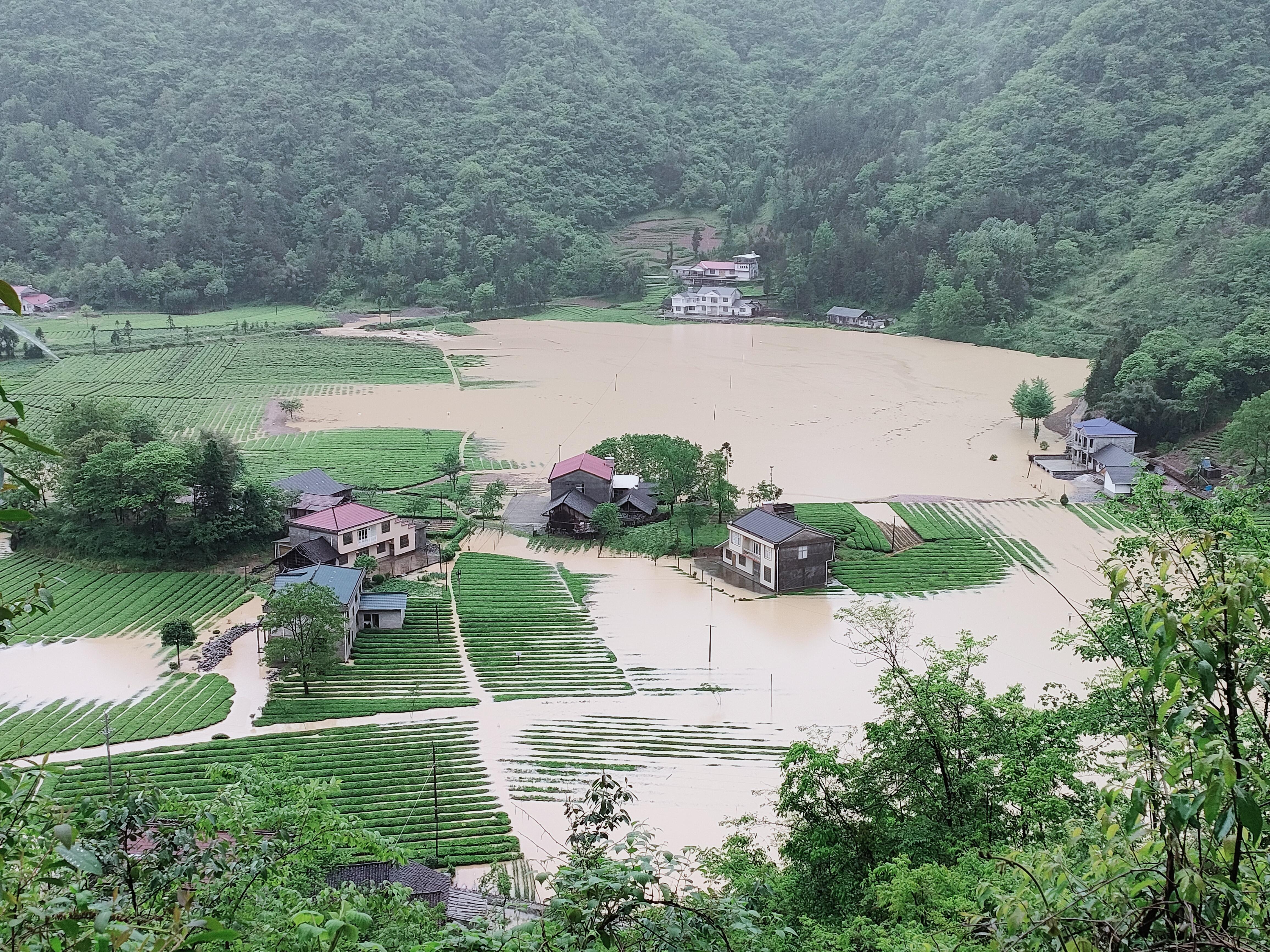 鹤峰县应急管理局启动新项目，构建现代化应急管理体系