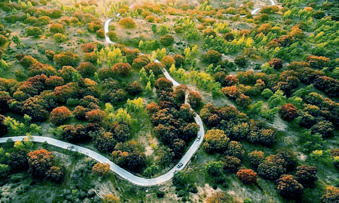 乌旦塔拉林场最新新闻动态报道