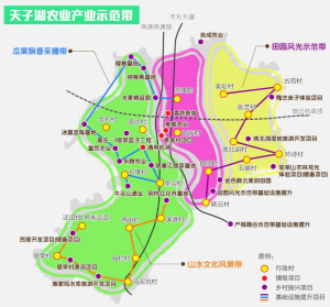 田桥镇未来繁荣新蓝图，最新发展规划揭秘