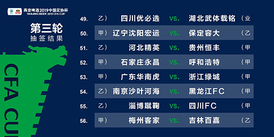 2024年澳门天天开好彩精准免费大全,实践调查解析说明_FHD版92.442