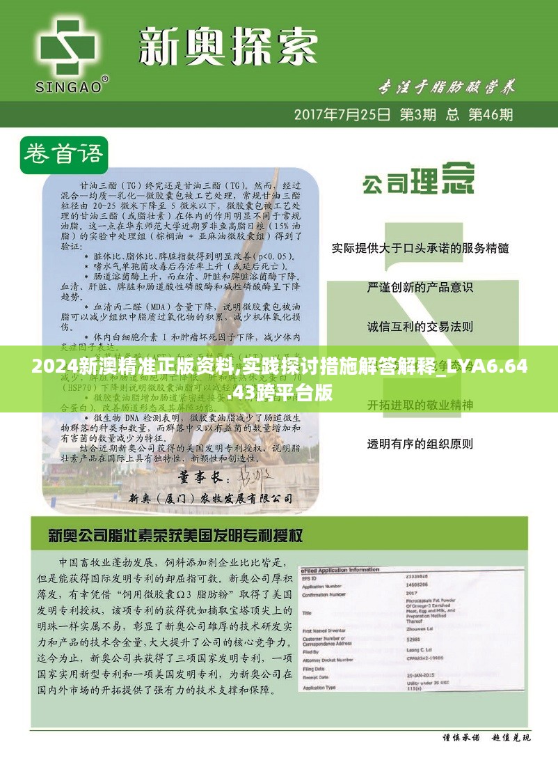 新澳2024年精准资料期期公开不变,调整细节执行方案_进阶款62.765