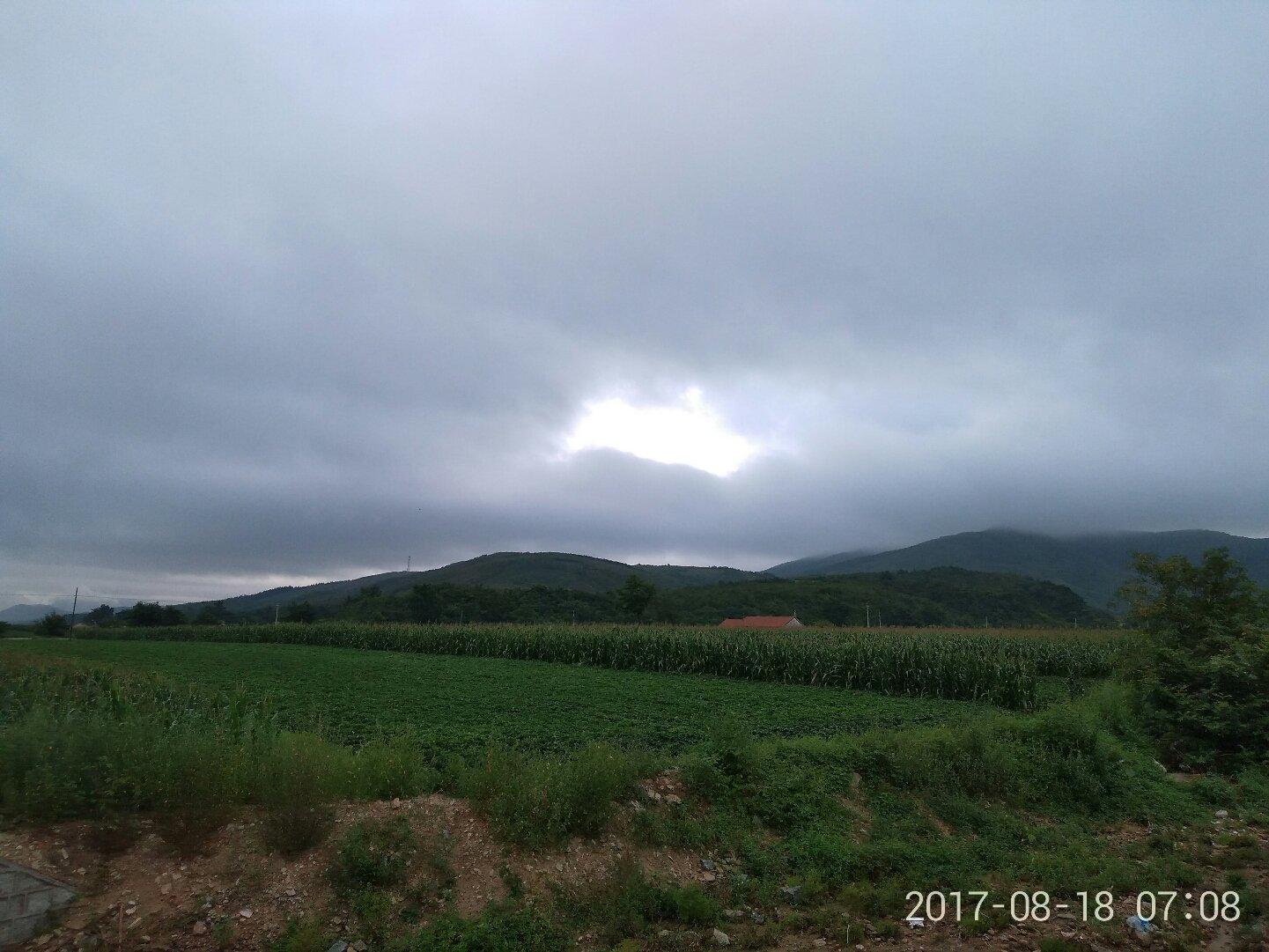 头寨子镇天气预报更新通知