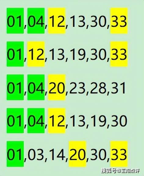 最准一肖一码一一孑中特,实地数据验证策略_10DM27.513