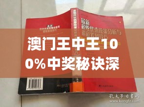 新澳门王中王100%期期中,精细解析说明_开发版96.330