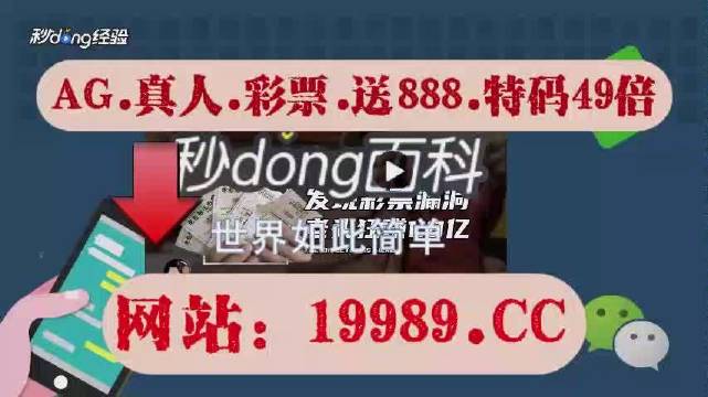 澳门六开奖结果2024查询网站,快速计划设计解析_VIP82.958