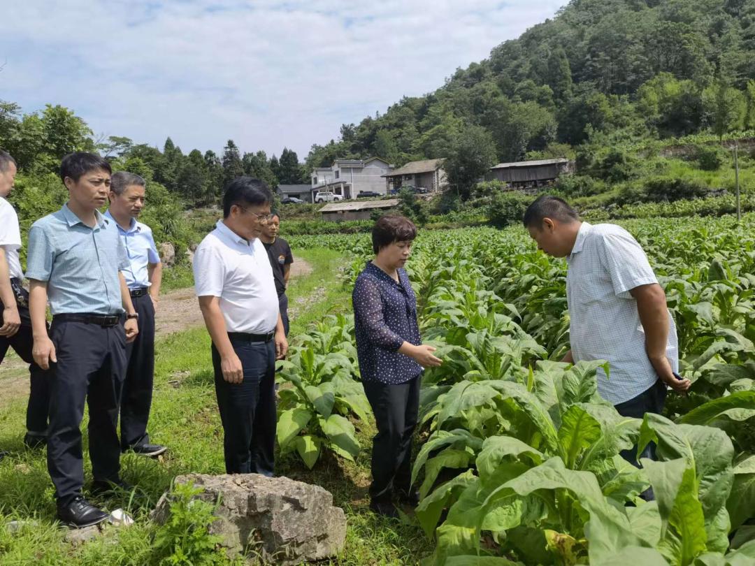 维新镇最新交通动态报道