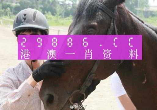 澳门必中一一肖一码服务内容,最新成果解析说明_专家版85.950