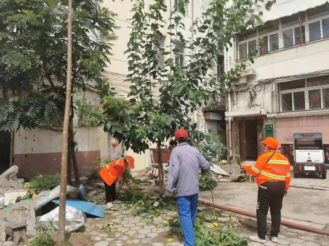 先锋路街道最新项目，重塑城市未来面貌的宏伟蓝图