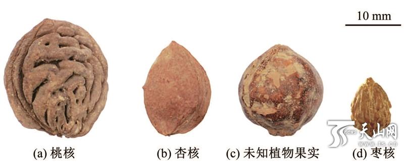 吐鲁番地区市社会科学院领导团队新动向与研究发展概览