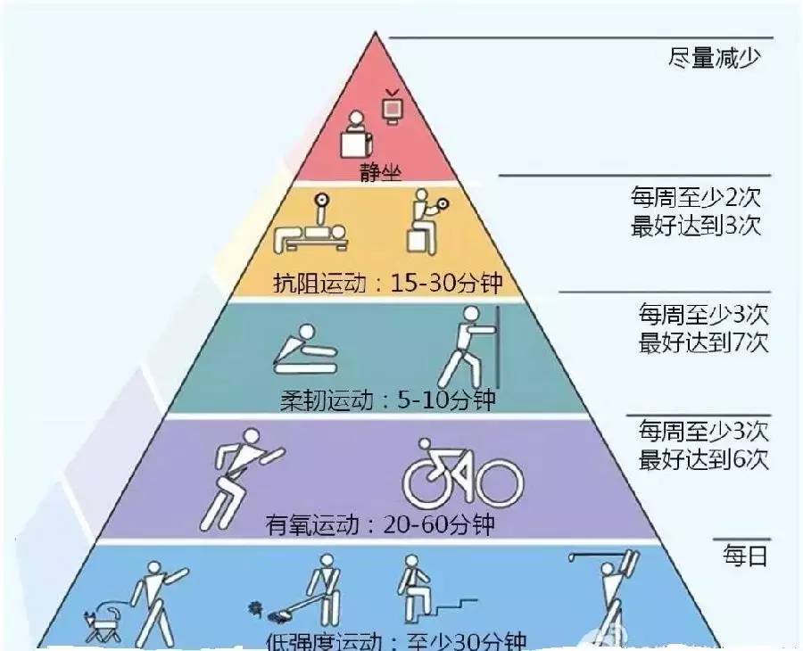 三肖必中三期必出凤凰网2023,稳定性方案解析_Q79.335