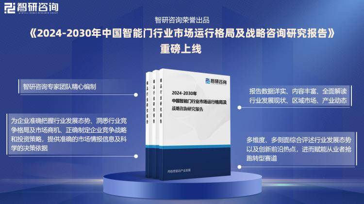 2024新奥精准正版资料,快速响应策略解析_Tizen30.373