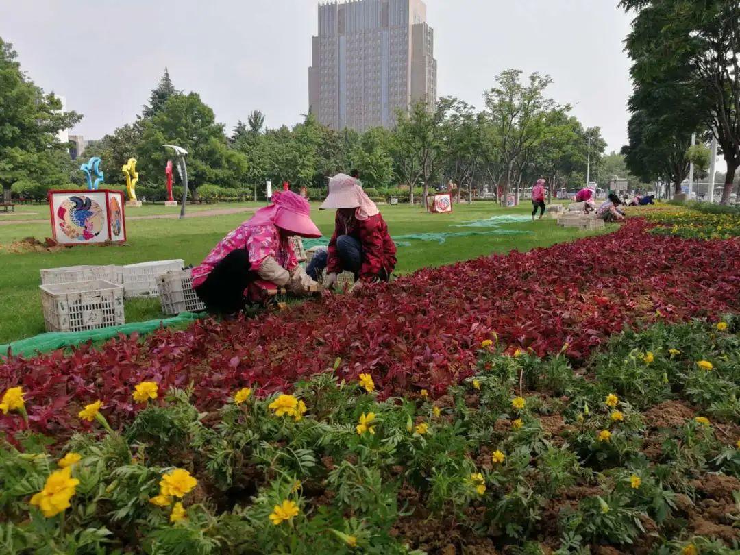 漯河市园林管理局推动城市绿化进程，打造宜居美丽漯河