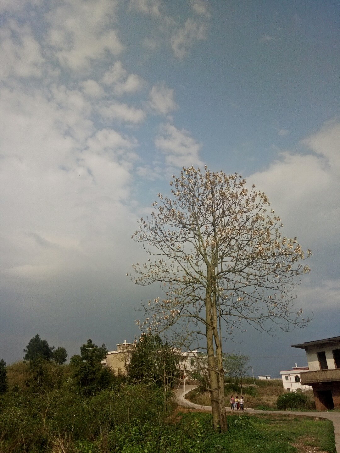 谢果村今日天气预报