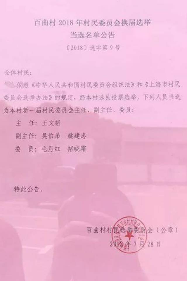 他崖村委会人事任命揭晓，开启村级治理新篇章