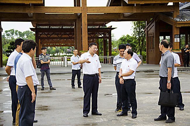 中和镇新领导团队引领未来，共筑辉煌新篇章