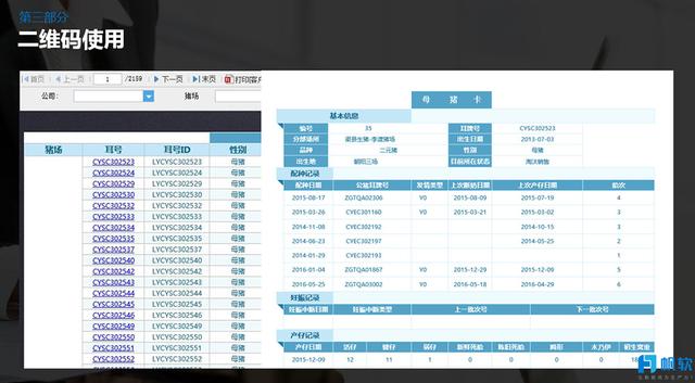 新澳2024年精准特马资料,数据资料解释落实_RemixOS46.175