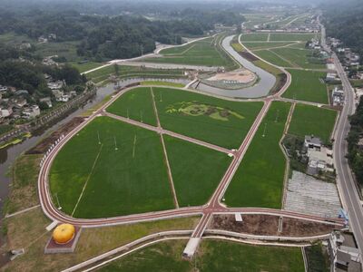 上城区农业农村局发展规划概览