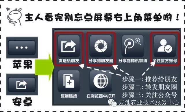 新澳门内部资料精准大全,重要性分析方法_苹果版60.505