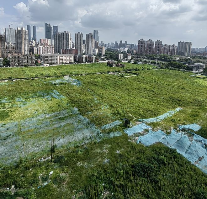 民主街道未来蓝图，最新发展规划引领城市塑造之路