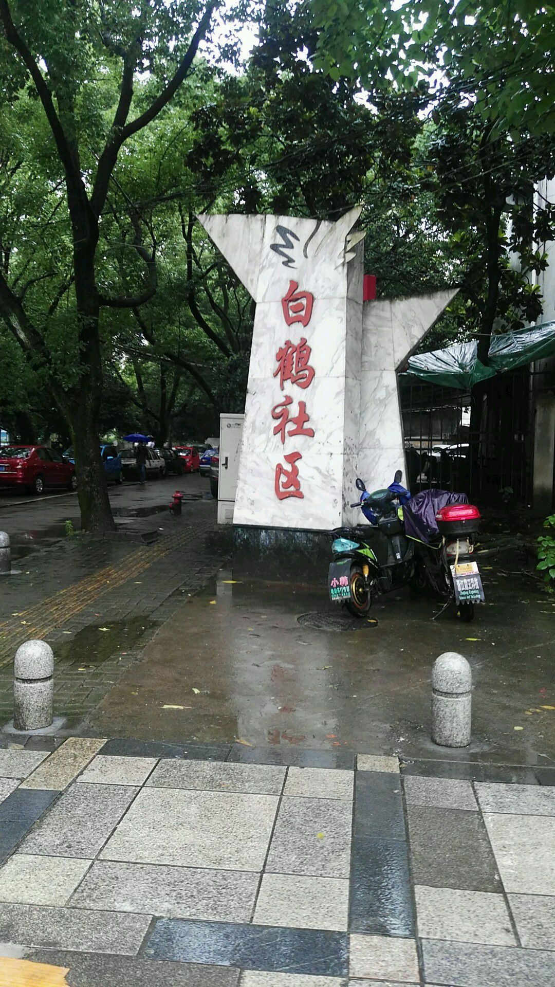 白鹤街道天气预报更新通知