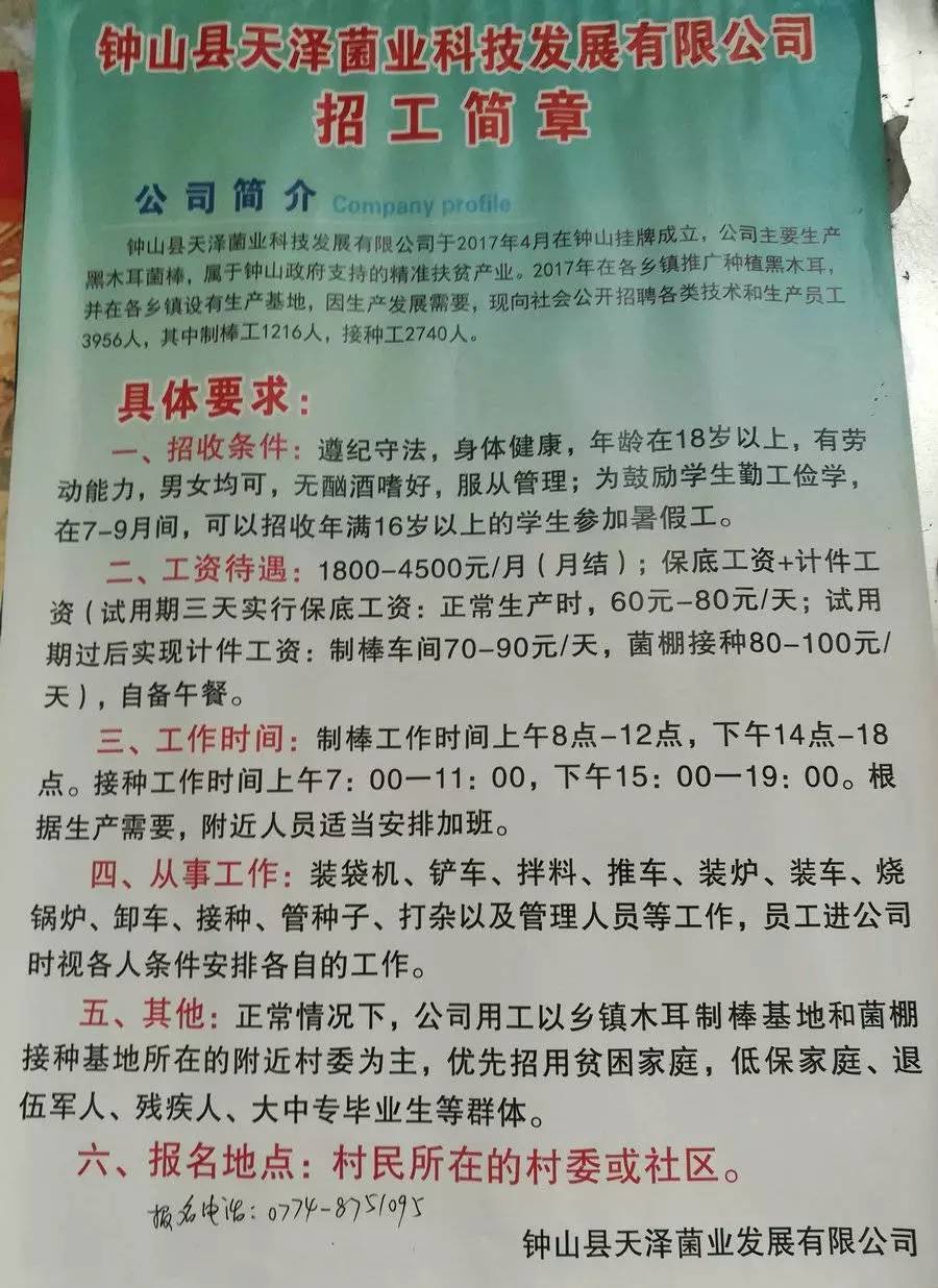 榆钱村最新招聘信息汇总