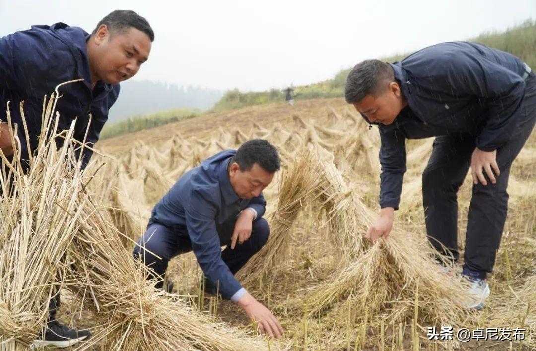 康多村重塑乡村，引领未来发展新篇章